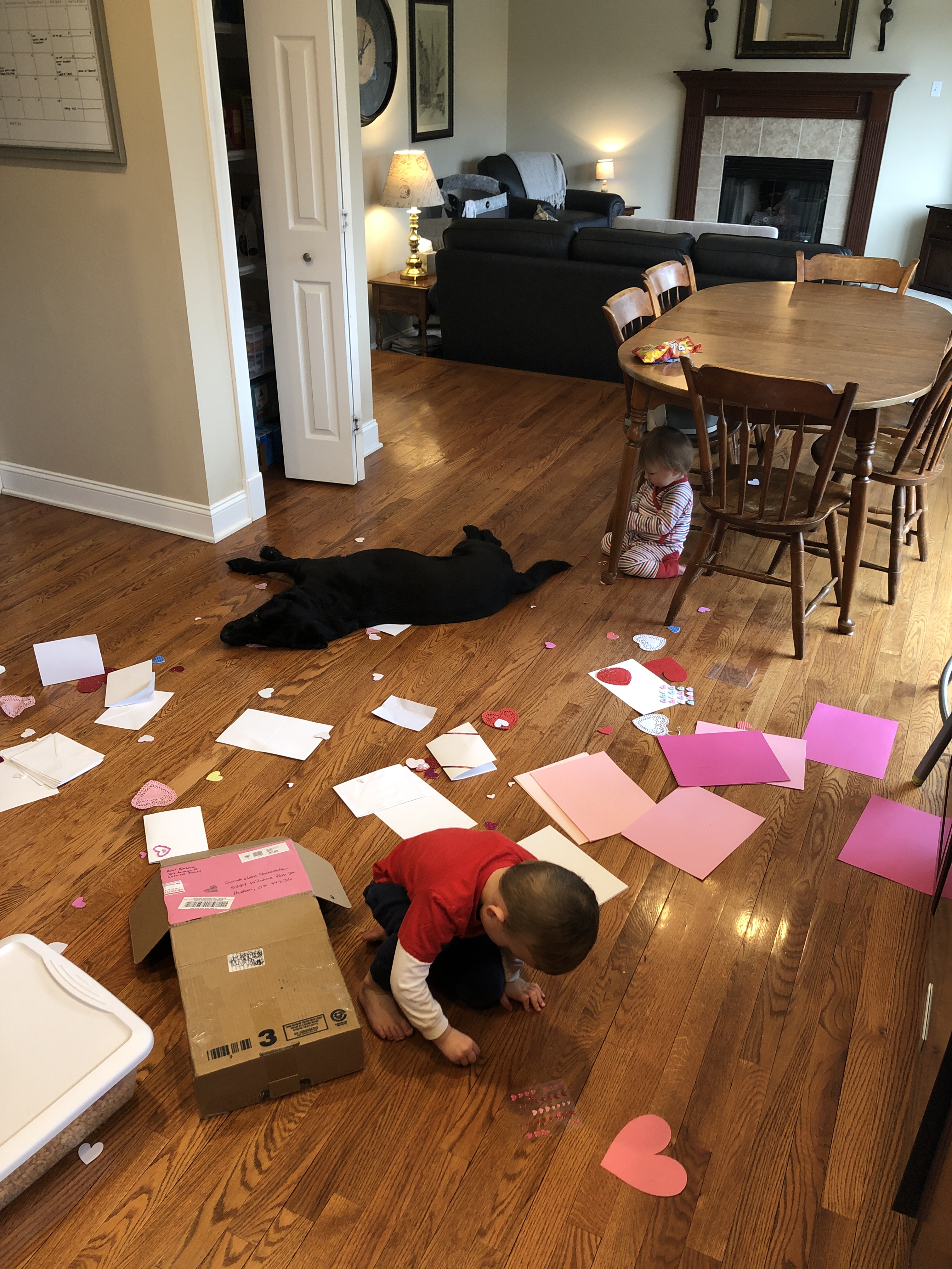 57134015530__21A68D6E-237B-4886-8E7B-ED3A9B620B8B